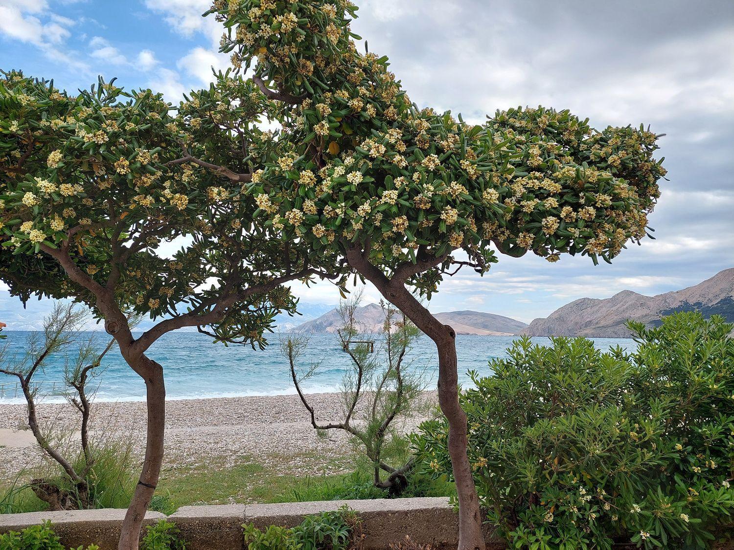 Erste Reihe Zum Meer Baska  Bagian luar foto
